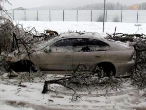 Žled 2014, foto M. Zver (47)